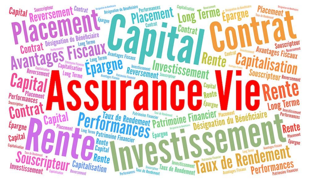 Fraude sociale : l’assurance-vie bientôt saisissable en cas de manquement