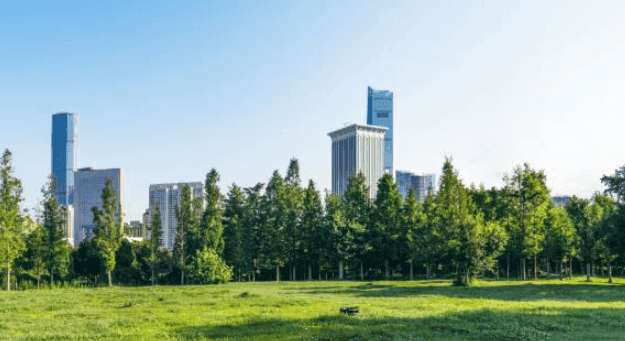 Alta Convictions : une nouvelle hausse du prix de part portée par la solidité de son patrimoine