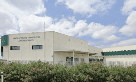 Theoreim renforce l'ancrage de LOG IN en Espagne avec une nouvelle acquisition