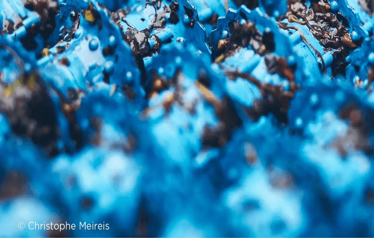 EdR Mission Europa : la souveraineté européenne comme rempart face aux crises