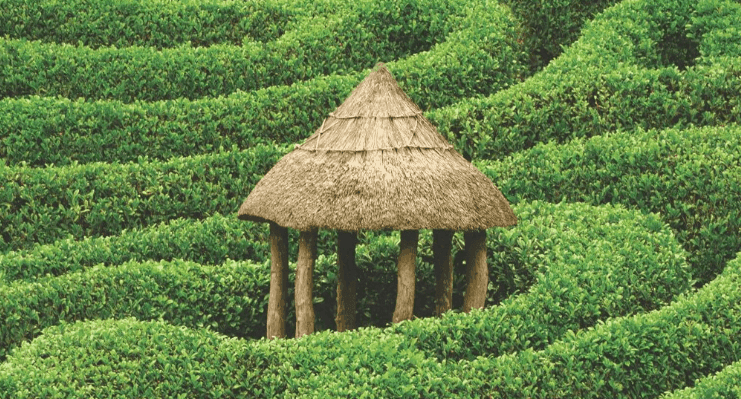 Perspectives T2 2026 de M&G Investments : entre bruit de marché et convictions durables