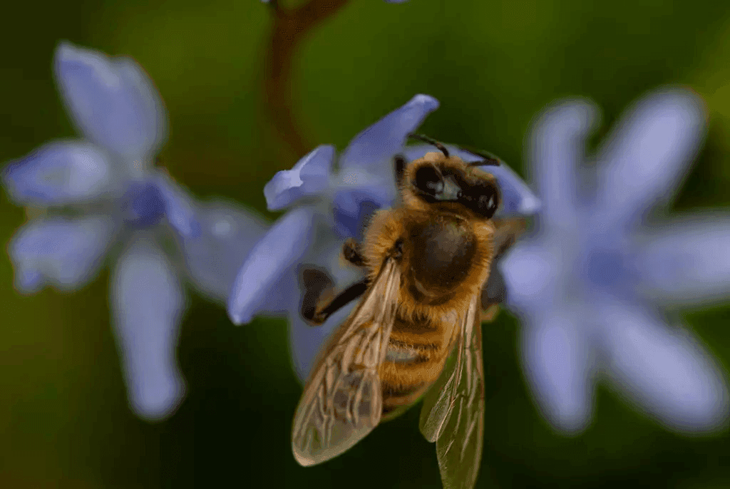 Sept tendances à surveiller en 2026 (Pictet AM)