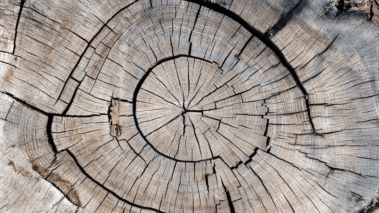 Perspectives 2026 de Jupiter AM : diversification, valorisations et psychologie des marchés