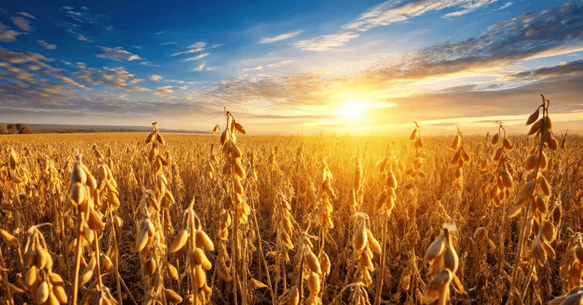 Europe : le tabou de l’épargne qui bloque la révolution Draghi selon BDL CM